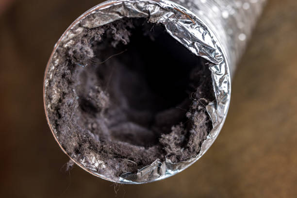 Best Ductwork Cleaning Services  in Westfield, PA