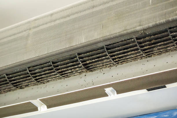Best Air Duct Cleaning Near Me in Westfield, PA
