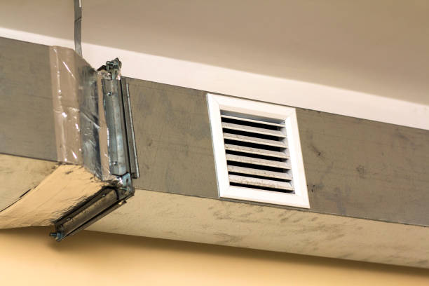 Best Air Duct Mold Removal  in Westfield, PA